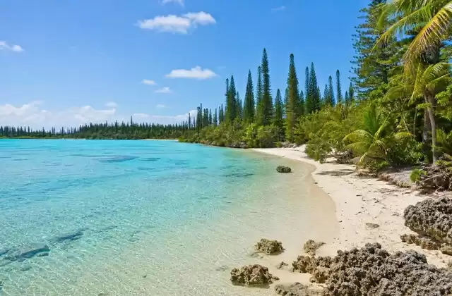 Isle of Pines