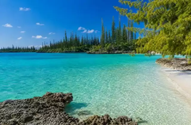 Isle of Pines