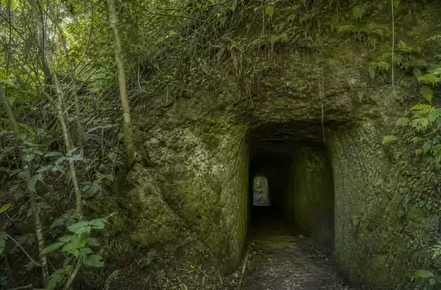 Japanese tunnels