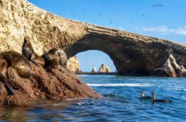 Ballestas Islands