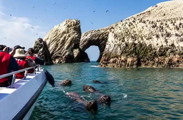 Ballestas Islands