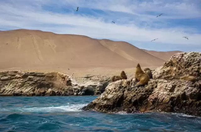 Ballestas Islands