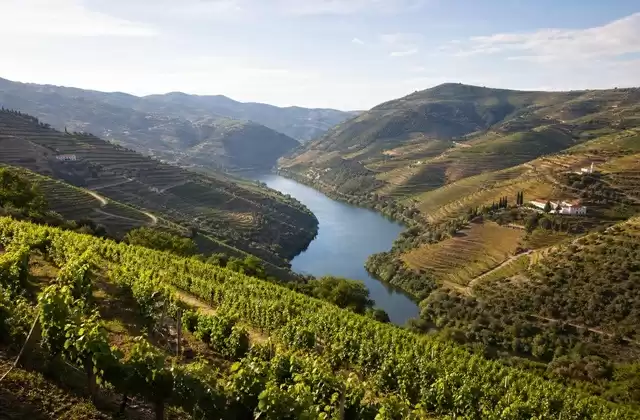 Douro Valley