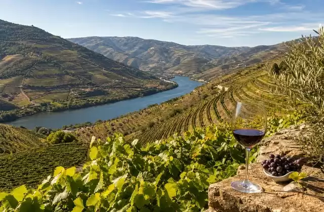 Douro Valley