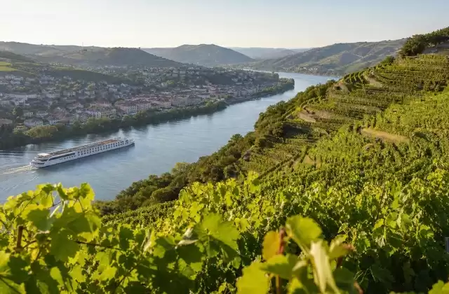 The vineyards of Tain-l'Hermitage