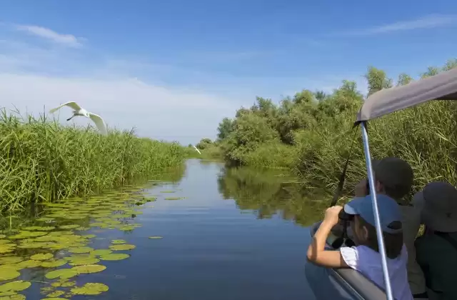 Delta channels