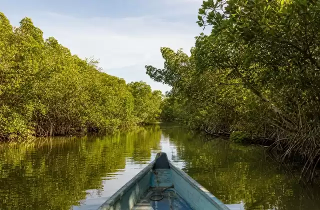 Sine-Saloum Delta