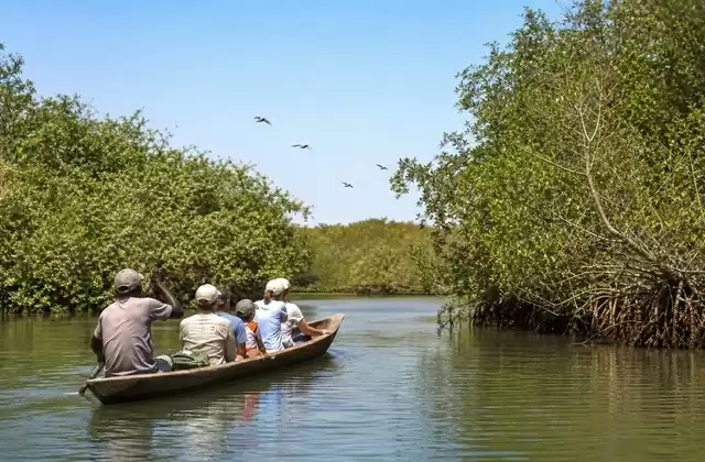 Sine-Saloum Delta