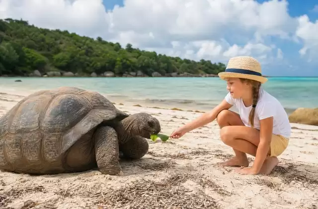 Curieuse Island