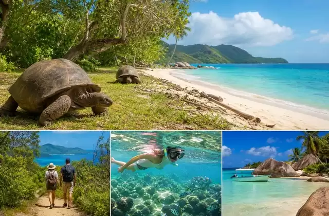 Curieuse Island