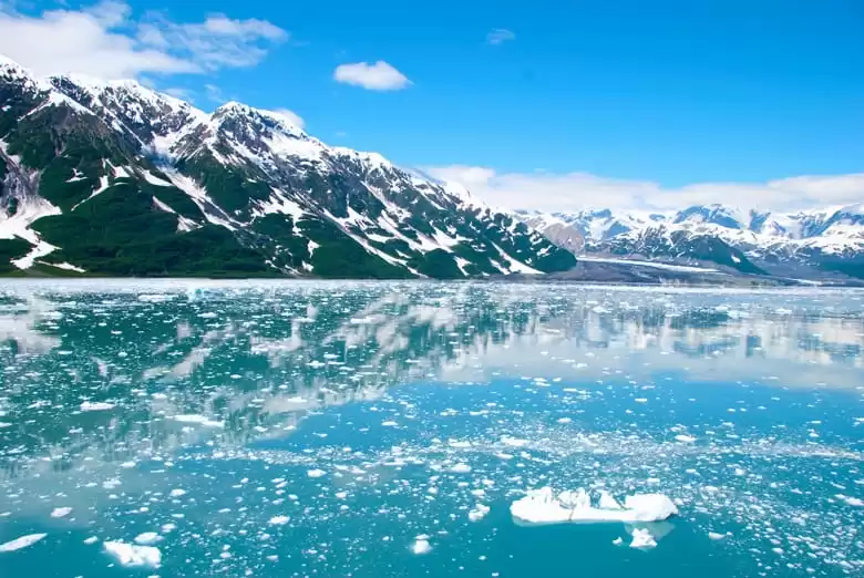 Colleg fjord