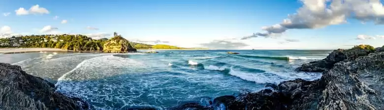 DUnedin